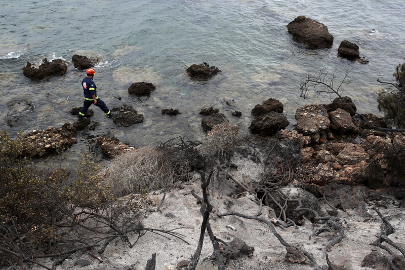 Illustration for article titled Por qué arrojarse al mar para escapar de un incendio como están haciendo en Grecia no es una buena idea